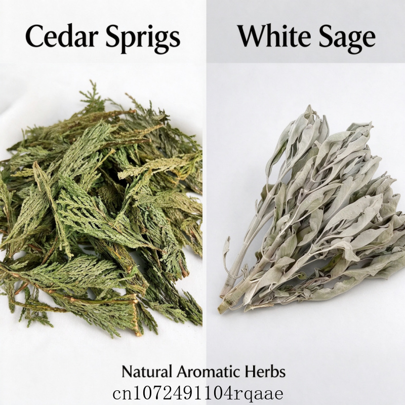 Gedroogde takjes witte salie e - Dried Herbs recensie en prijs