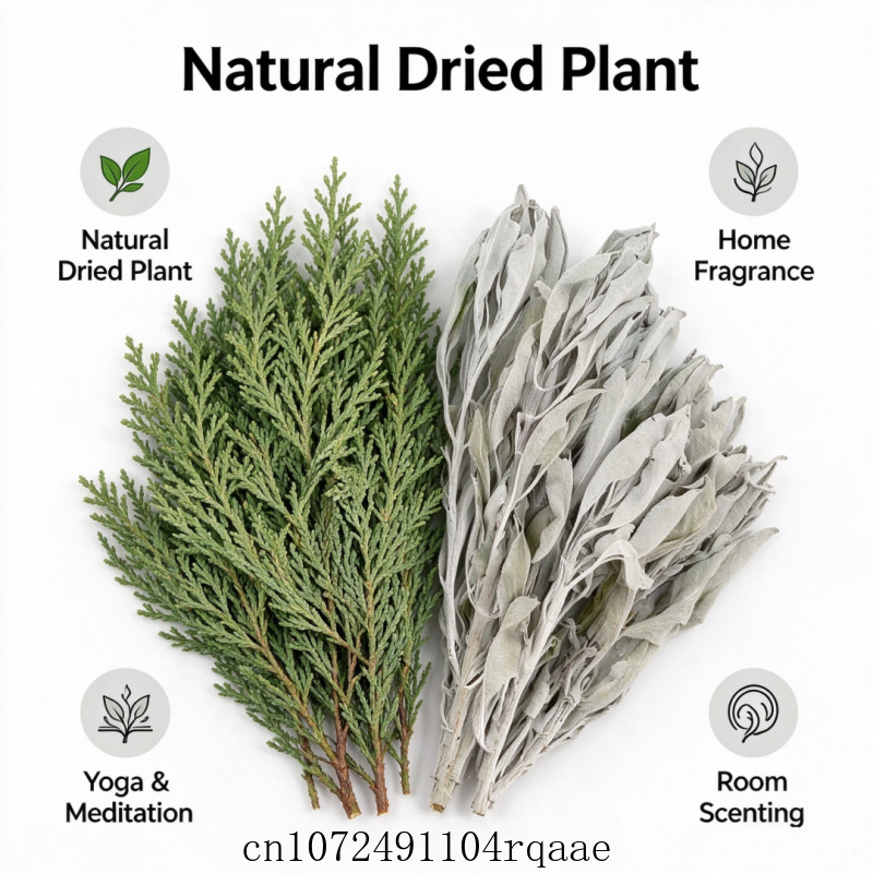 Gedroogde takjes witte salie e - Dried Herbs recensie en prijs