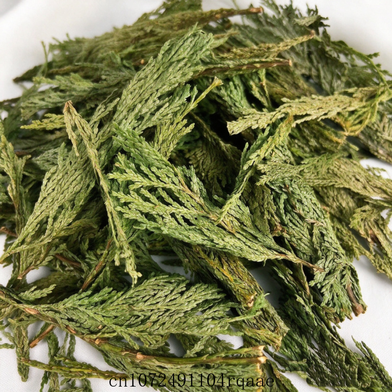 Gedroogde takjes witte salie e - Dried Herbs recensie en prijs