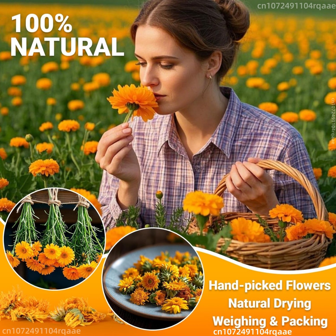 Natuurlijke gedroogde goudsblo - Chamomile Tea recensie en prijs