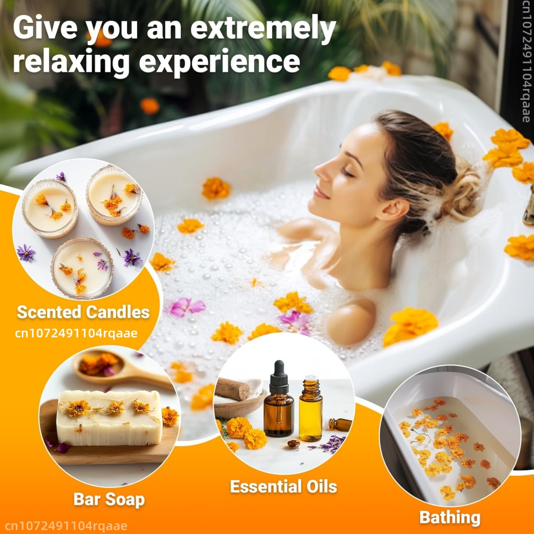 Natuurlijke gedroogde goudsblo - Chamomile Tea recensie en prijs