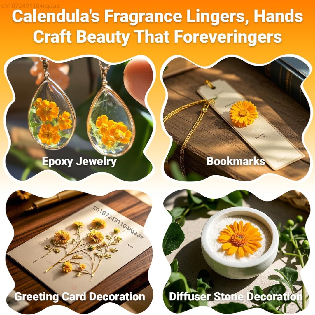 Natuurlijke gedroogde goudsblo - Chamomile Tea recensie en prijs
